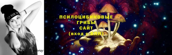 твердый Краснослободск