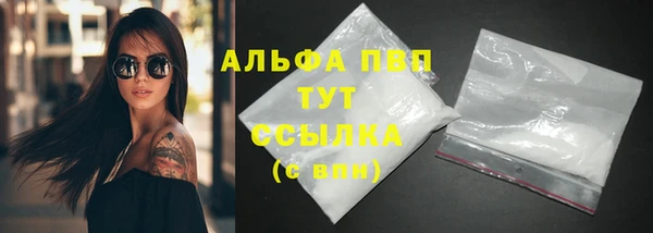 твердый Краснослободск