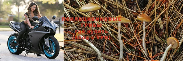 apvp Куйбышев