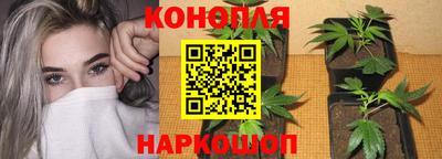 прущая мука Донской