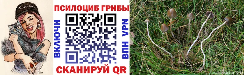 наркошоп  Конаково  Галлюциногенные грибы прущие грибы 