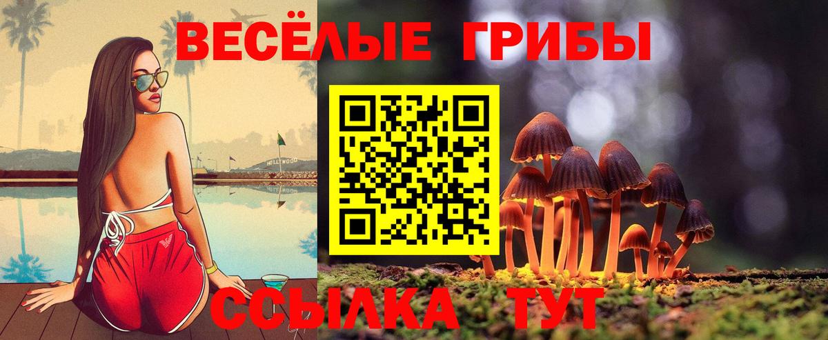 Псилоцибиновые грибы мухоморы  Вход с VPN  Конаково 